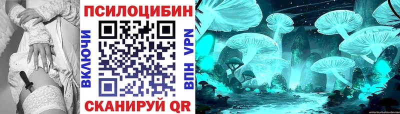 Псилоцибиновые грибы Cubensis  Миньяр 
